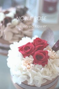 NOBLE ROSE