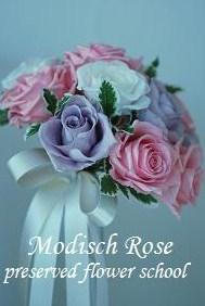 Modisch Rose