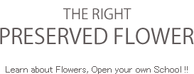 THE RIGHT PRESERVED FLOWER Learn about Flowers Learn about Flowers Open your own School !!